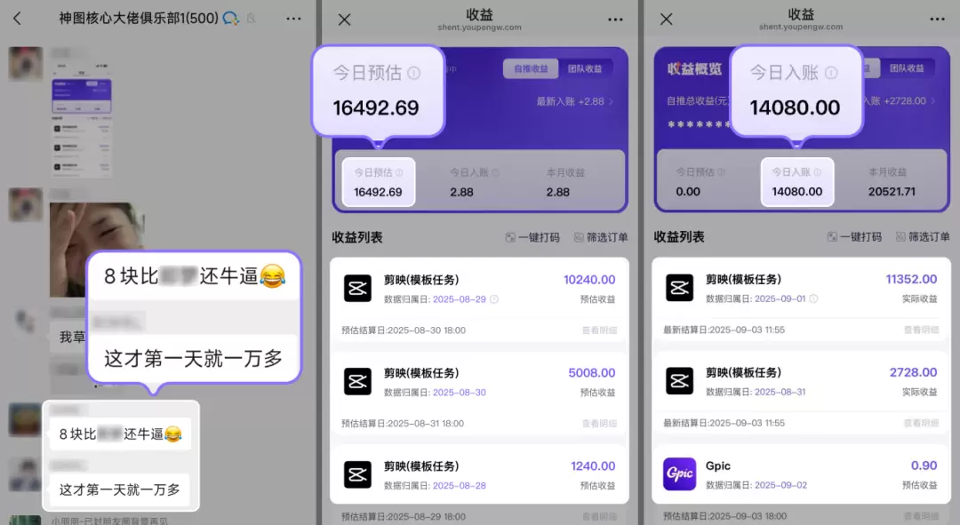 20250913175313563-项目收益