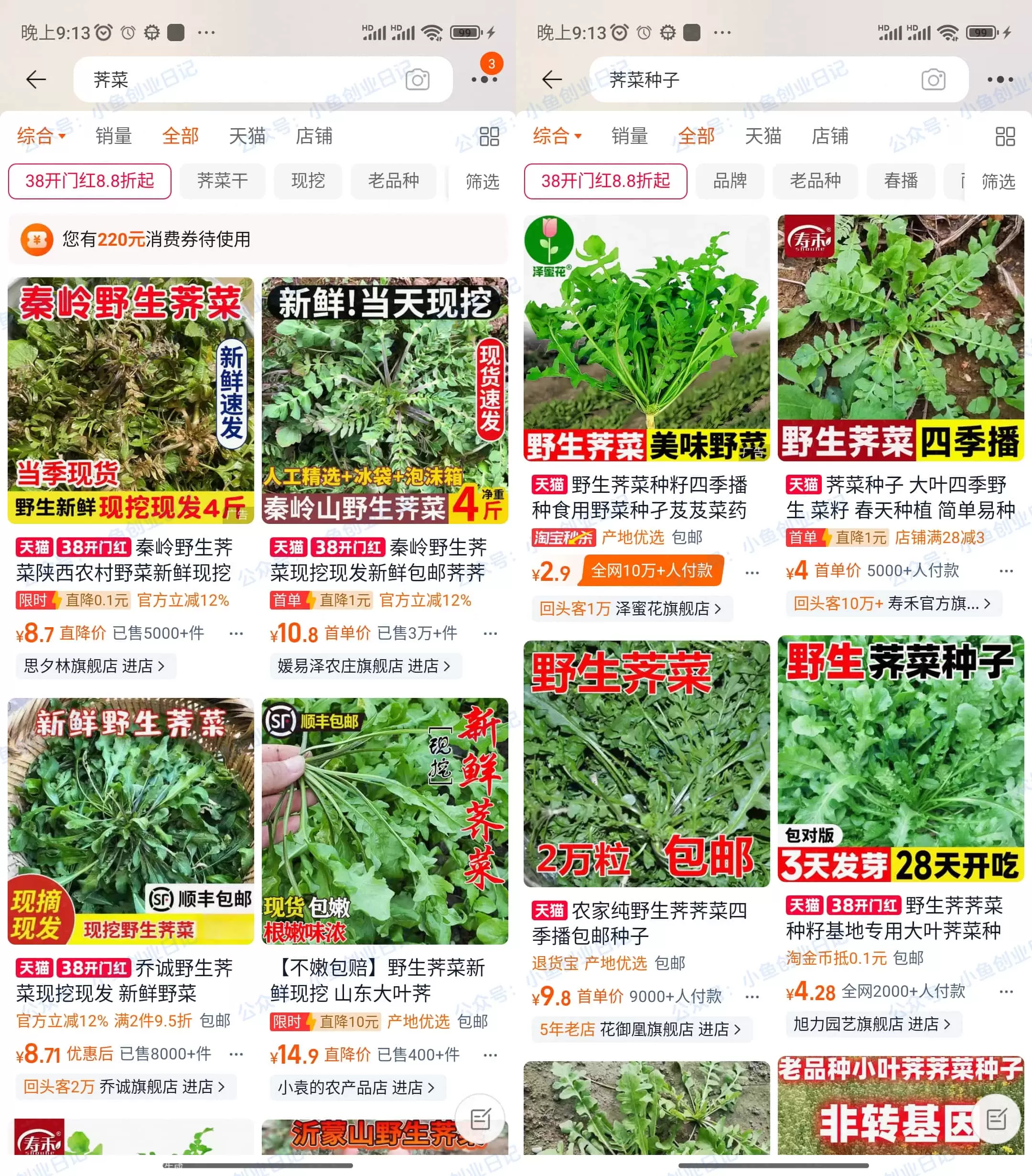一个蹭热点的信息差，刚需，吃野菜！全国性质的-小鱼项目网