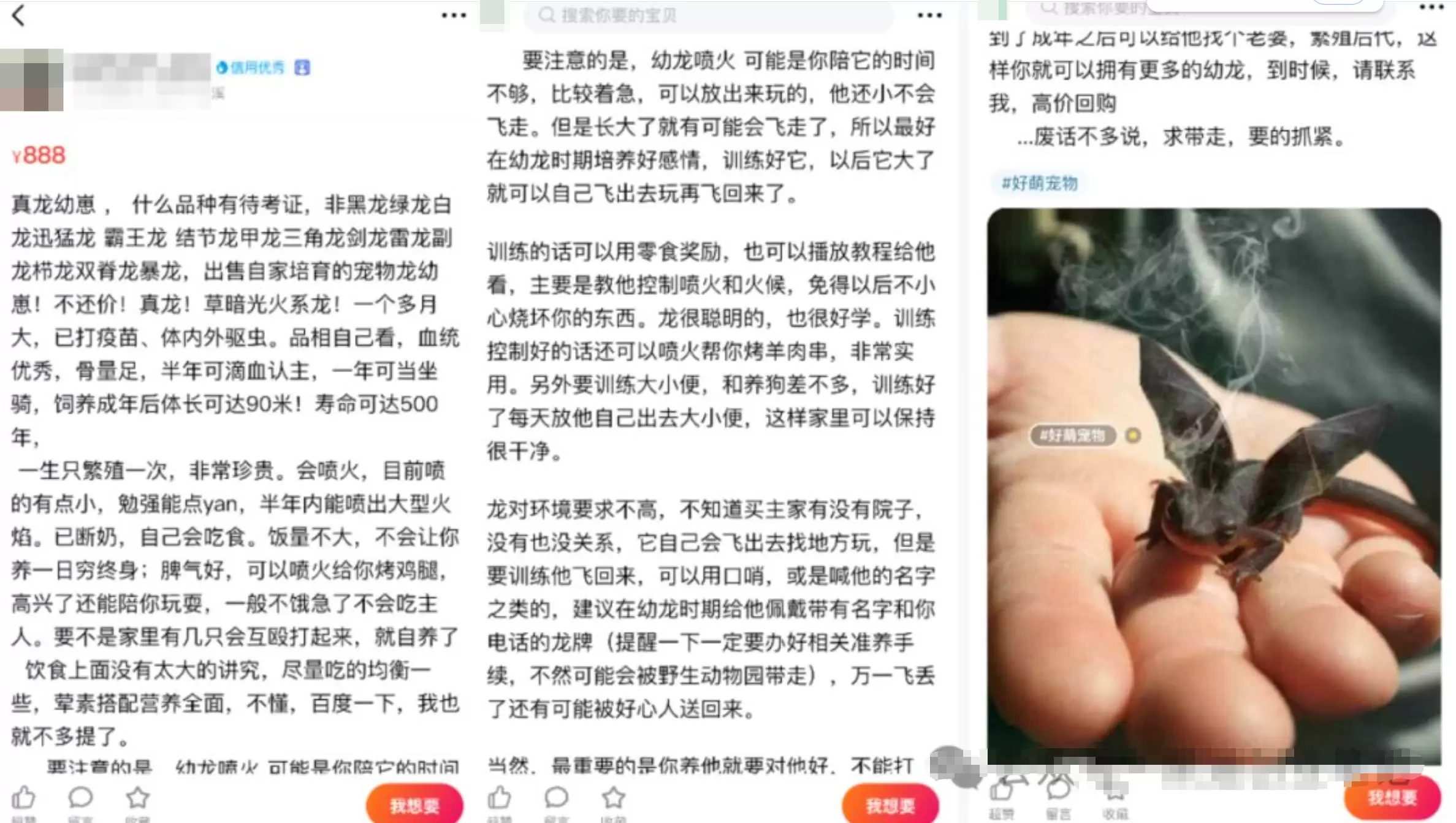 20260307225139466-image