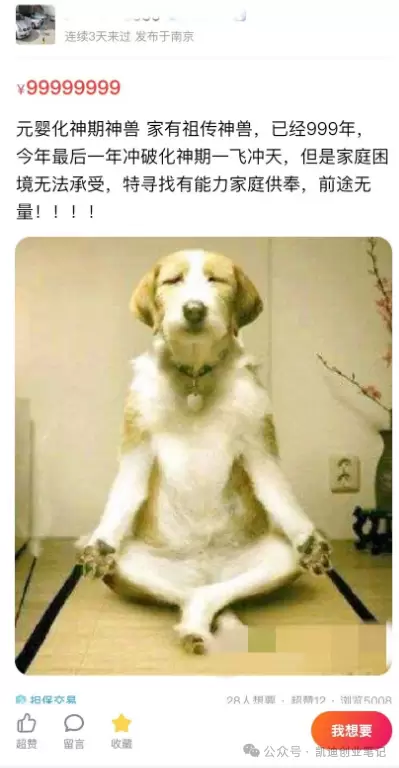 20260307225214178-image