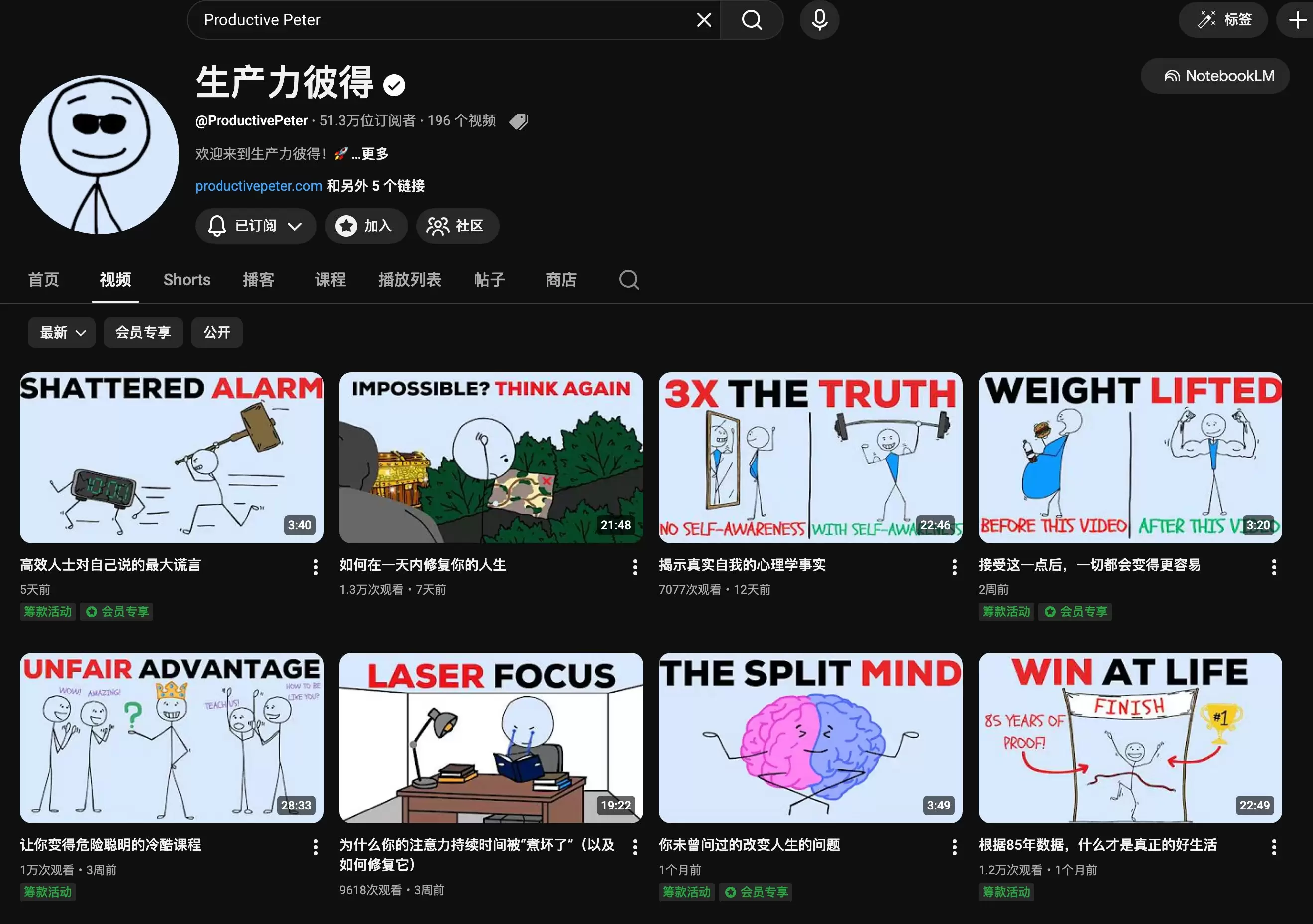 我很喜欢油管上面的一位博主叫 ProductivePeter-小鱼项目网