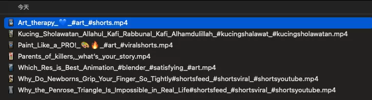 图片[9]-【2024.12.29】定时每日自动下载 YouTube 订阅频道的最新内容-小鱼项目网