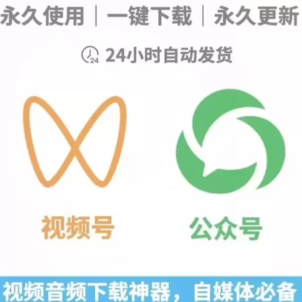 视频下载工具，永久使用-小鱼项目网