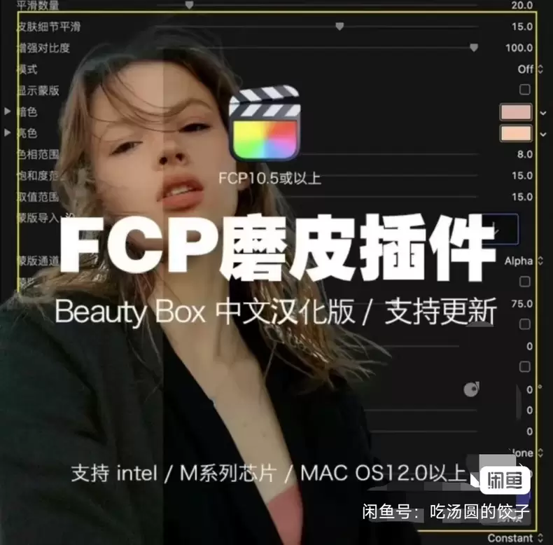 虚拟产品 206. FCPX磨皮插件中文汉化版

这个也推荐-小鱼项目网