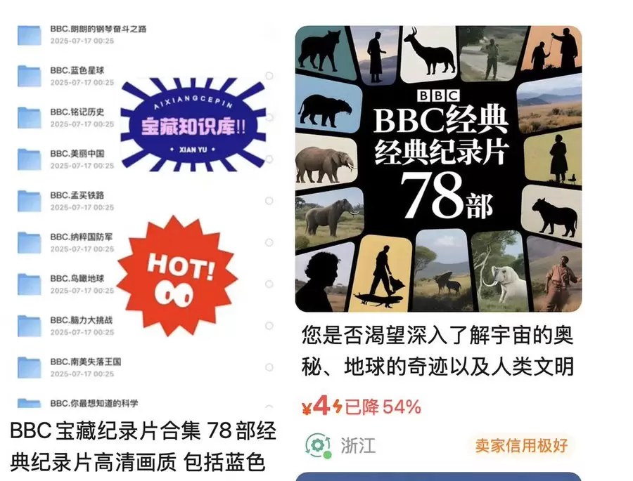 一套纪录片赚了20万! 宝妈的钱也太好赚了

在虚拟资料赛道-小鱼项目网