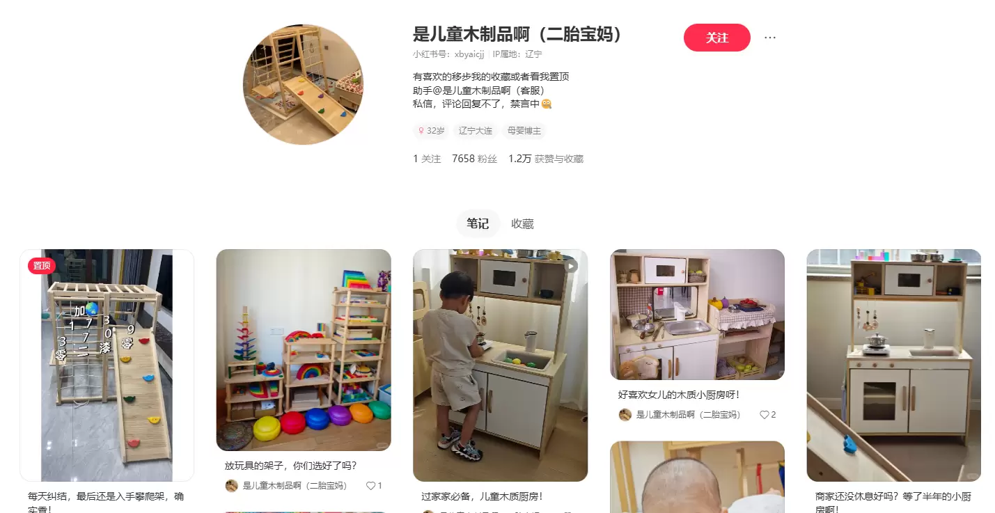 **小鱼严选搞钱信息差： **小红书卖攀爬架和儿童木制品的另-小鱼项目网