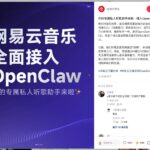 现在都 CLI 和 Skills 化了，网易云音乐都有了-小鱼项目网