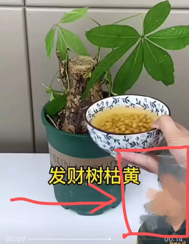 小鱼严选搞钱信息差： 视频号伪原创小技巧-小鱼项目网