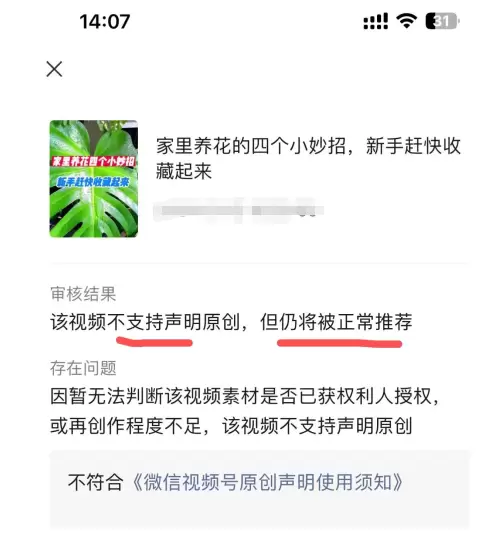 小鱼严选搞钱信息差： 视频号伪原创小技巧-小鱼项目网