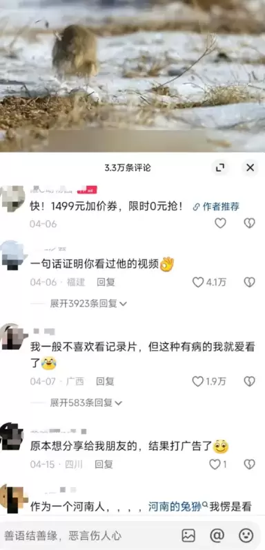 小鱼严选搞钱信息差： 动物世界二创-小鱼项目网