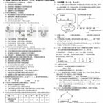 我宣布，GPT-image-2杀死了比赛，太离谱了！-小鱼项目网