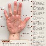 思来想去， GPT-image2 最牛的应用情境：

算命-小鱼项目网