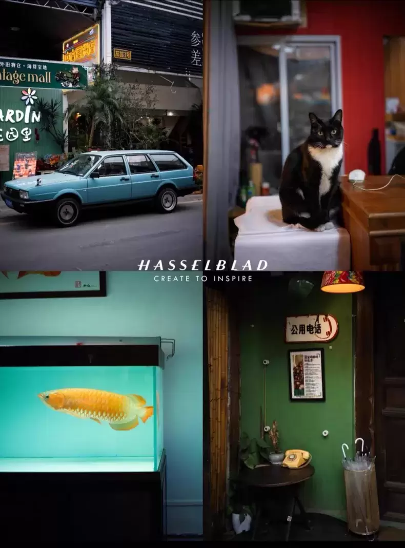 虚拟产品 260. Lightroom一键调色滤镜

适合各-小鱼项目网