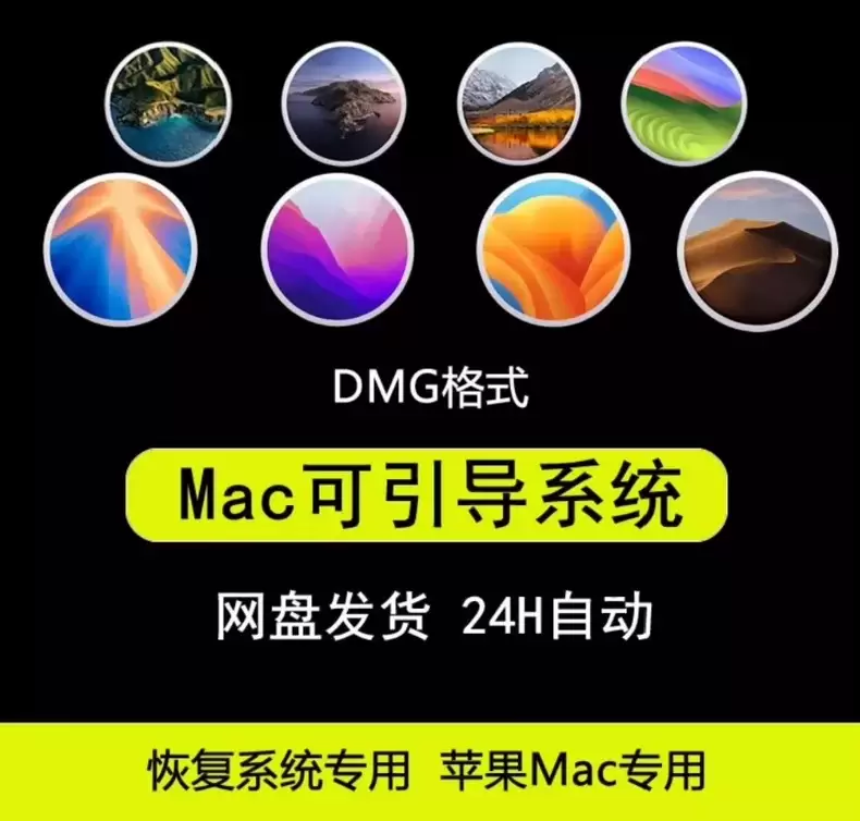 虚拟产品 261. 苹果系统可引导镜像

macOS 原版可-小鱼项目网