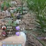 给流浪猫绑个摄像头开直播

主人躺赚

看这直播间人数和点赞-小鱼项目网