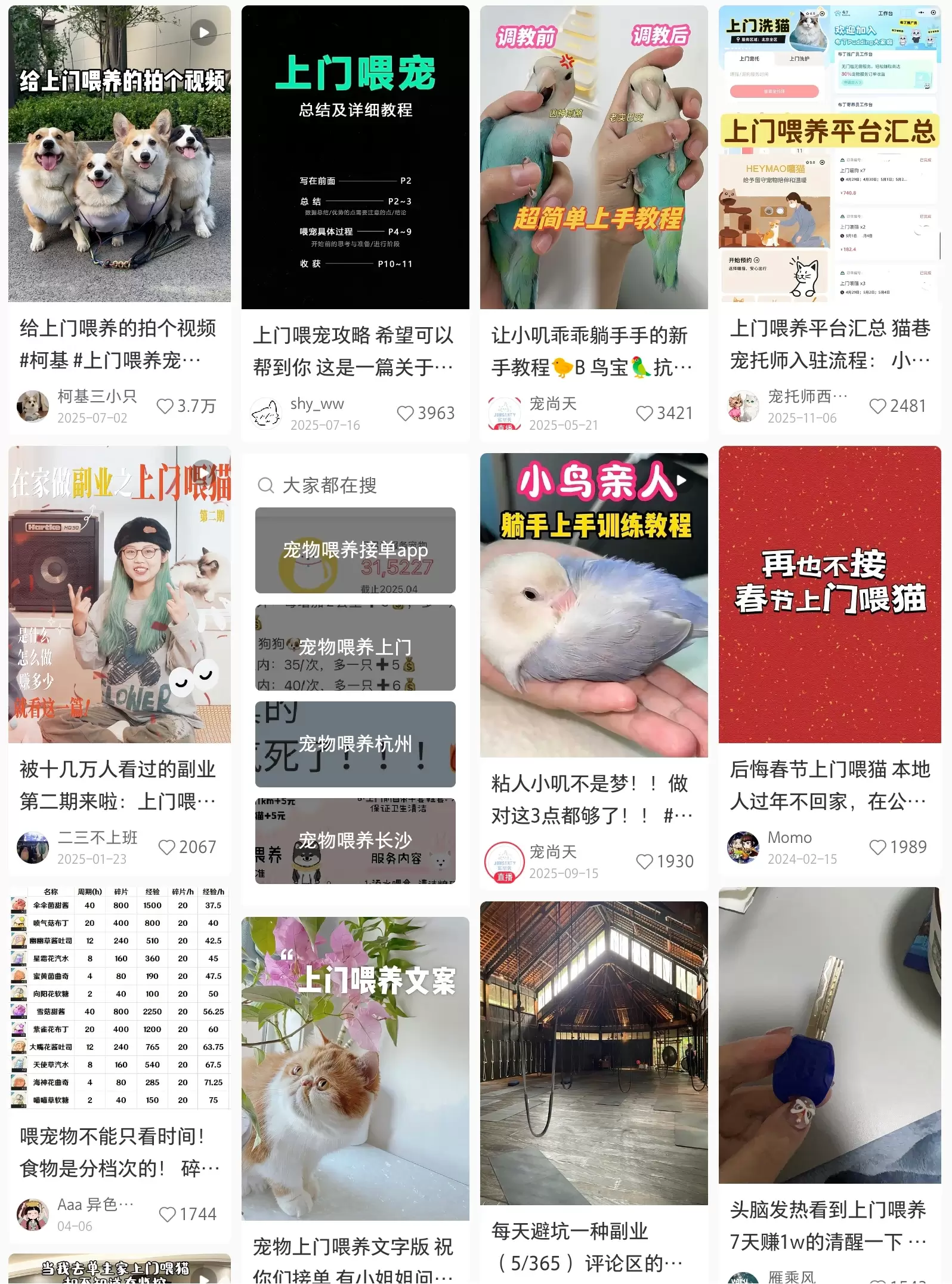 赚钱点子77：AI+宠物上门喂养-小鱼项目网