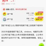分享一款在闲鱼销量2500+的虚拟产品——视频号批量下载工具-小鱼项目网