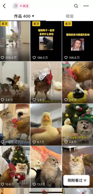 **小鱼严选搞钱信息差：**宠物领域，职业宠物自媒体的播放量-小鱼项目网