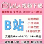分享一款在闲鱼上想要1600+的虚拟产品——B站视频下载工具-小鱼项目网