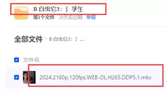 做网盘拉新如何最大程度避免版权-小鱼项目网