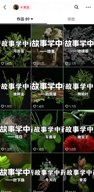 AI+中草药故事！很容易爆单，视频带货高阶玩法！-小鱼项目网