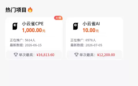 小鱼严选副业项目： 世界杯热点做AI工具拉新-小鱼项目网