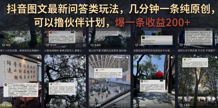 【2026.07.29】抖音图文新玩法:问答类内容几分钟原创一条,轻松参与伙伴计划,单条爆款收益超200元-小鱼项目网