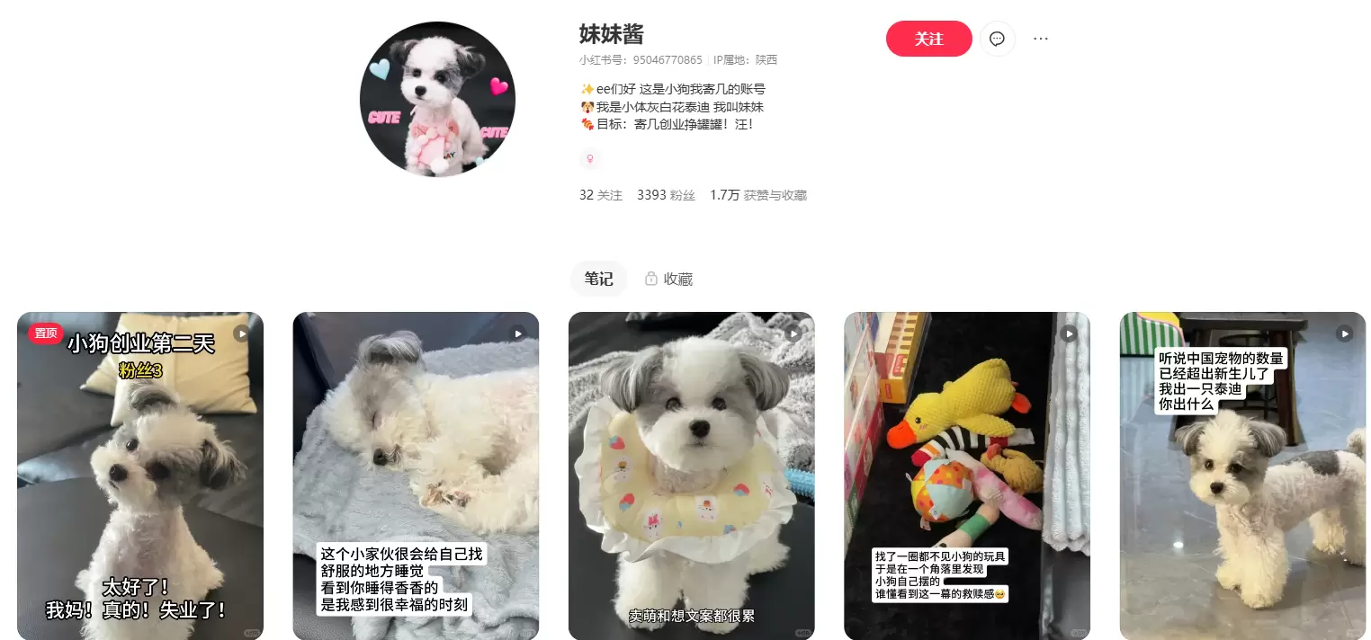 **小红书变现案例1. **小红书宠物博主 - 宠物创业 宠-小鱼项目网