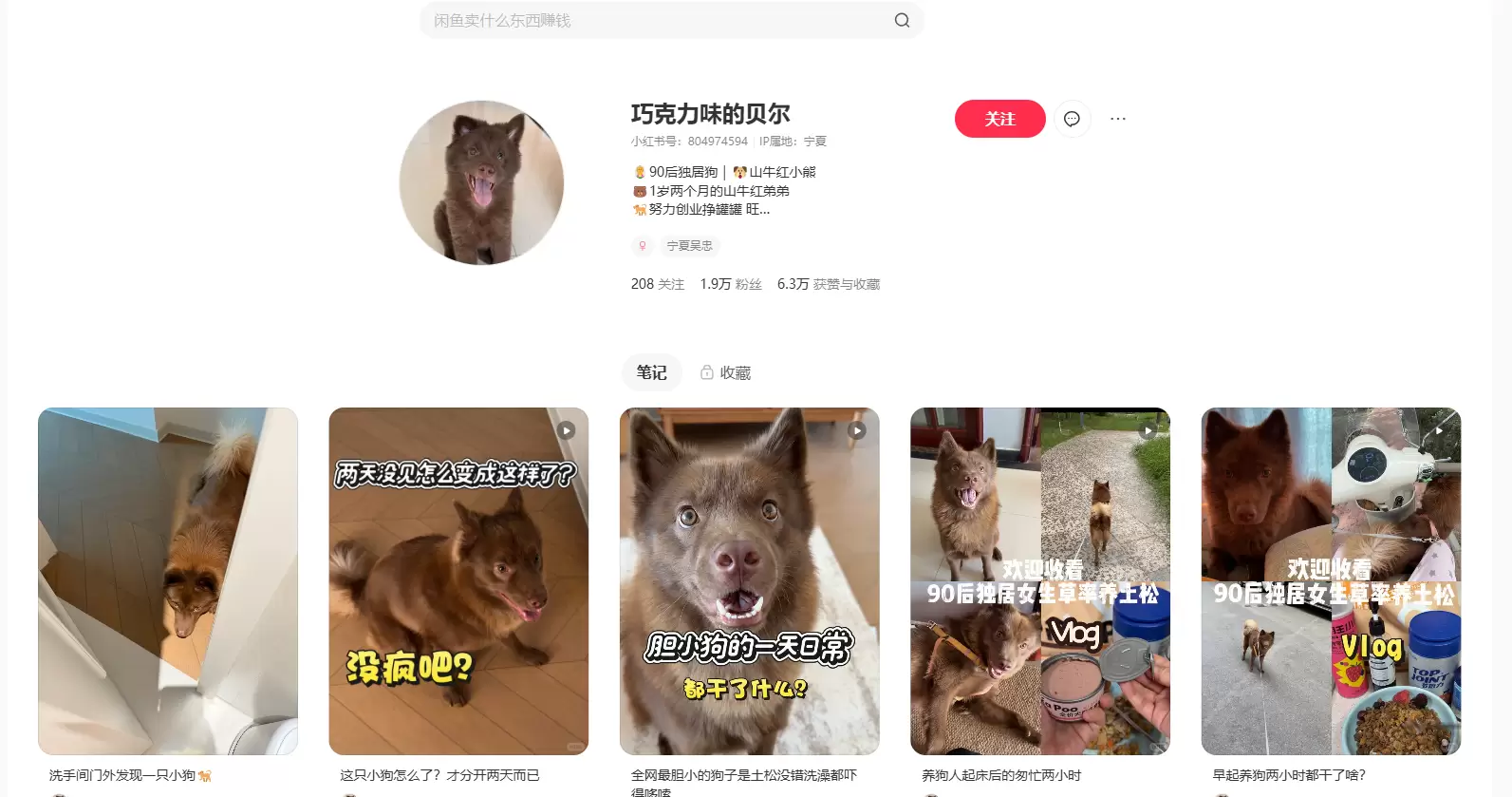 **小红书变现案例1. **小红书宠物博主 - 宠物创业 宠-小鱼项目网