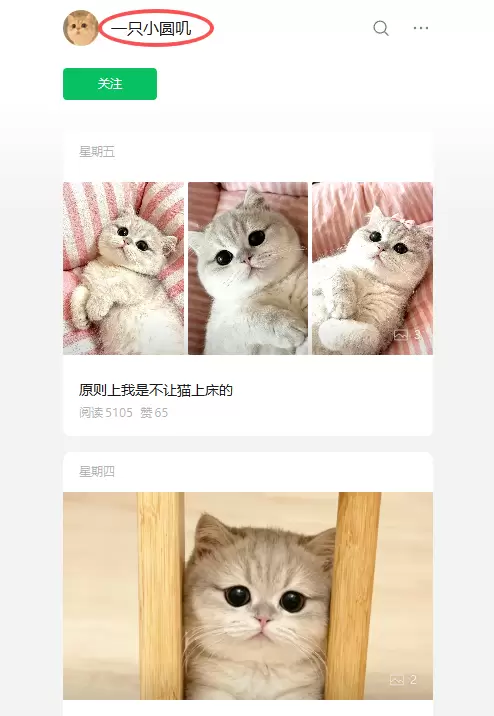 **公众号爆文方向79：**这个宠物号（见图2）：拍家里的猫-小鱼项目网