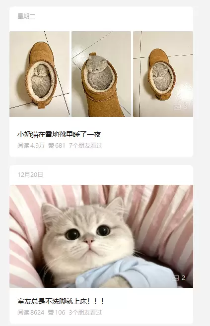 **公众号爆文方向79：**这个宠物号（见图2）：拍家里的猫-小鱼项目网
