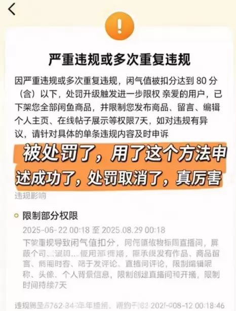 虚拟产品 54.闲鱼违规申诉教程，有违规的可以看看！ 教程链-小鱼项目网