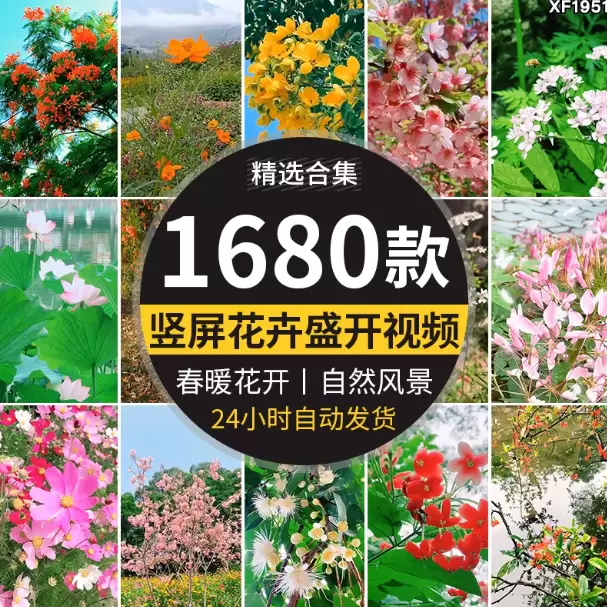 **淘宝选品46：** 产品：插花素材 店铺链接-小鱼项目网