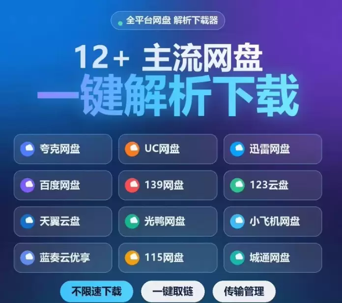 虚拟产品 475. 最新网盘解析高速下载工具 最新网盘解析高-小鱼项目网