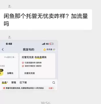 小鱼你好，闲鱼那个托管无忧卖咋样? 加流量吗？-小鱼项目网