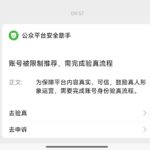 **小鱼严选搞钱信息差： **一种微信贴图号玩法，公众号长文-小鱼项目网