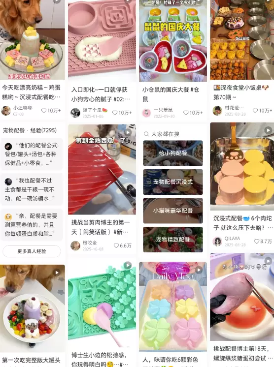 小鱼严选副业项目：宠物配餐，这个小生意，也有人愿意付钱-小鱼项目网