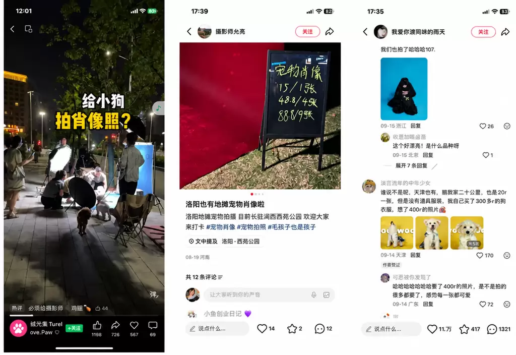 看图，关于宠物这块，说一个线下的小项目-小鱼项目网
