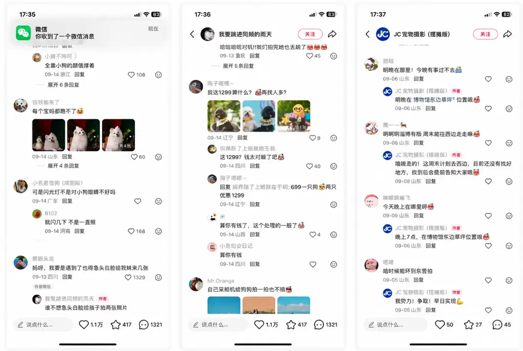 看图，关于宠物这块，说一个线下的小项目-小鱼项目网