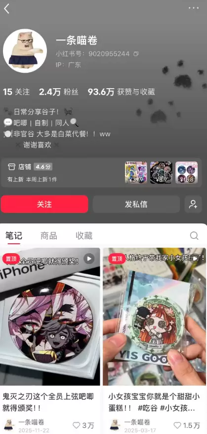 **小鱼严选搞钱信息差： **二次元周边赛道，二次元的钱真好-小鱼项目网