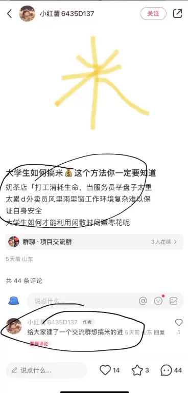 引流技巧143. 小红书引流精准大学生粉-小鱼项目网