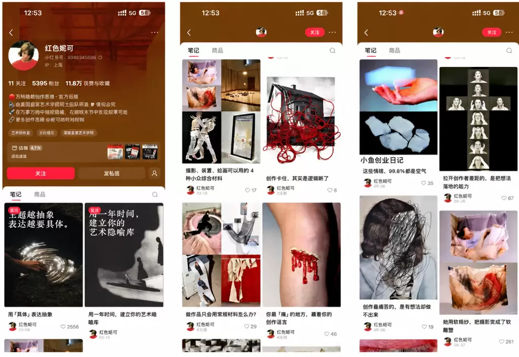 看图，给大家分享一个细分品 在小红书上看到一个 5000 粉-小鱼项目网