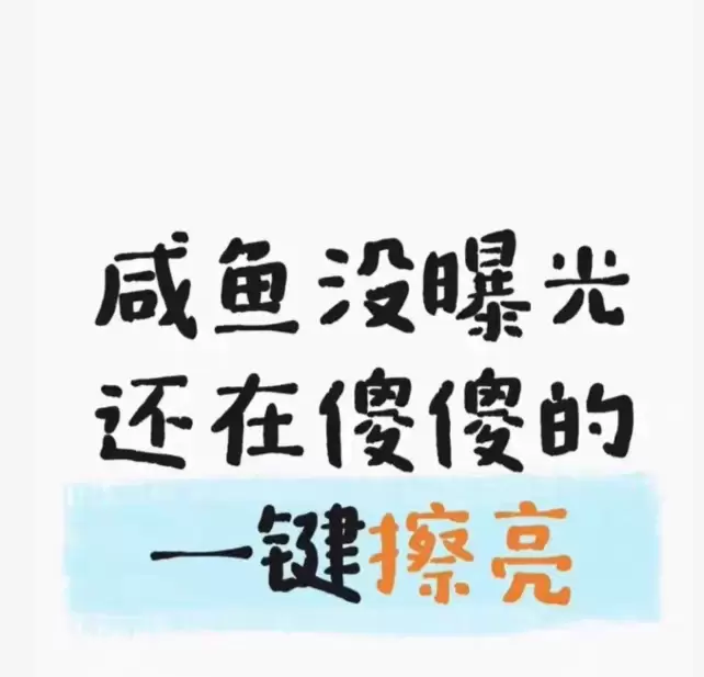 虚拟产品 503. 闲鱼运营指南爆单技巧 全网最真实，起号-小鱼项目网