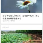 **公众号爆文方向91： **每天流水账记录副业收入，这个方-小鱼项目网