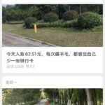 **公众号爆文方向91： **每天流水账记录副业收入，这个方-小鱼项目网